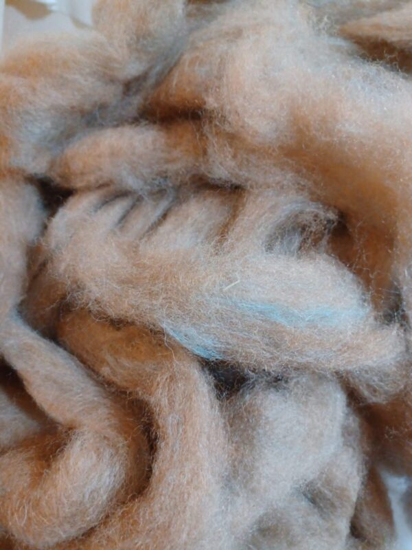 Alpaca Roving - Fawn/Turquoise Blend   $8/oz.