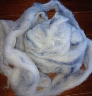 White alpaca roving with blue wool